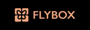 Flybox Shipping Order Tracking Logo