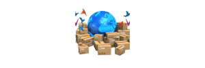 Direct Express Delivery Tracking Logo